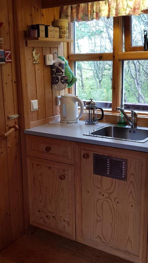 Cozy Cabin In The Woods Selfoss Exterior foto